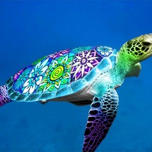 Meet your Posher, Tanya